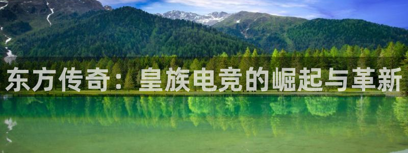 南宫电竞电竞平台官方网站入口