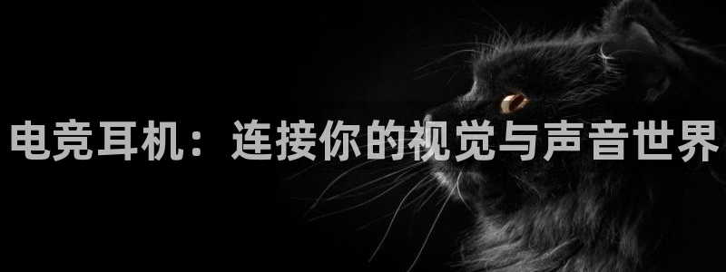 南宫电竞电竞网址