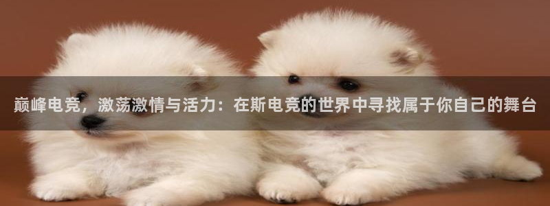 南宫电竞电竞：巅峰电竞，激荡激情与活力：