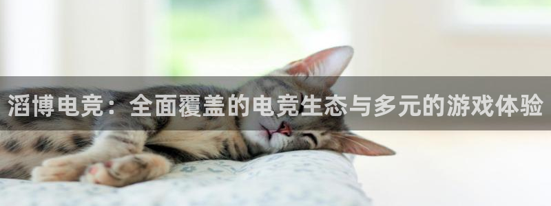 南宫电竞电竞体育,官方网站