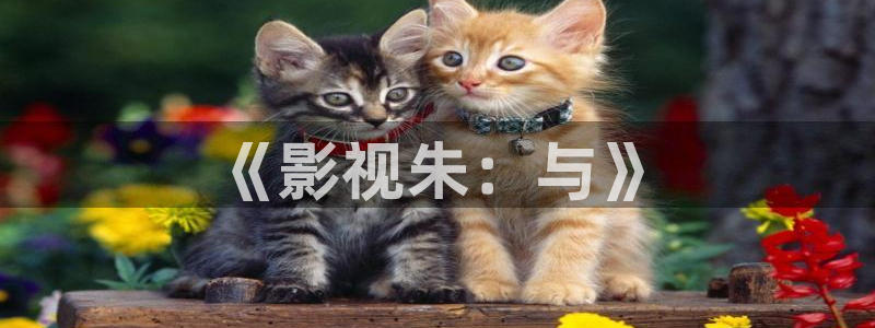 丝瓜炒虾仁视频：《影视朱：与》