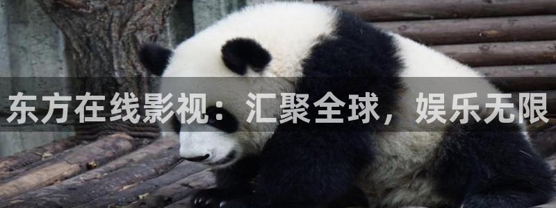 丝瓜小视频丝瓜短视频：东方在线影视：汇聚全球，娱乐无限