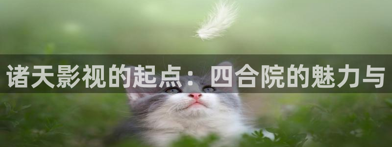 丝瓜狐狸视频：诸天影视的起点：四合院的魅力与