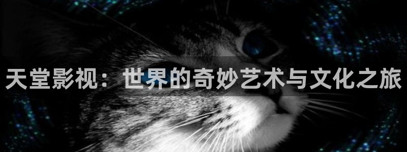 丝瓜的做法有哪些：天堂影视：世界的奇妙艺术与文化之旅