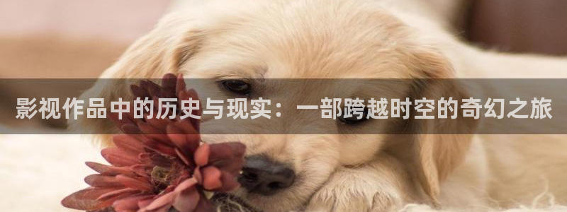 狐狸视频和丝瓜视频无限看免费：影视作品中的历史与现实：一部跨越时空的奇幻之旅