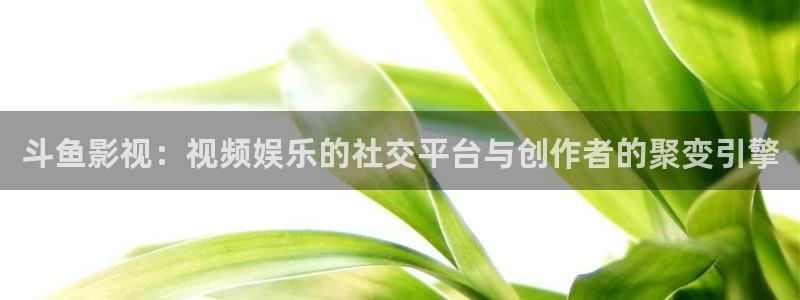 丝瓜短视频下载应用