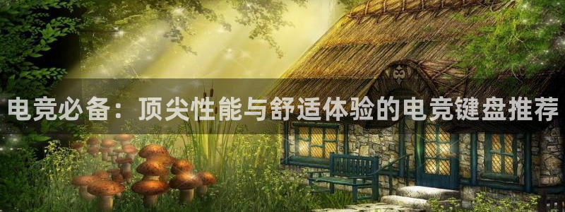 南宫电竞电竞app下载：电竞必备：顶尖性