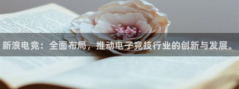 南宫电竞电竞平台尙11yb tv：新浪电